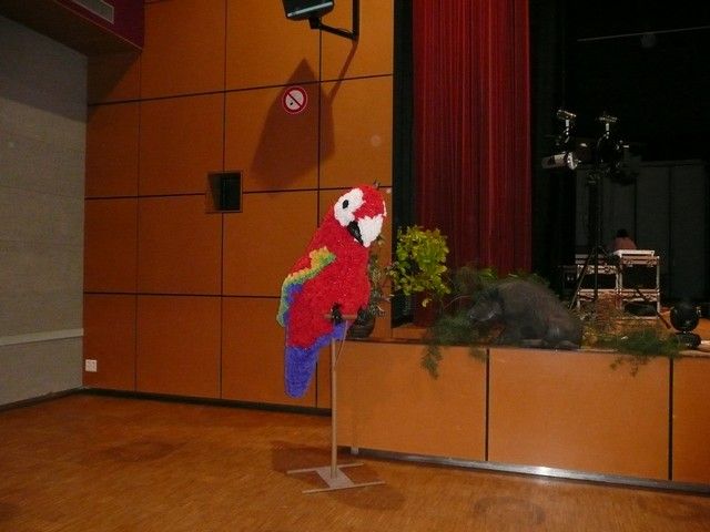 election miss 2012 (32).jpg